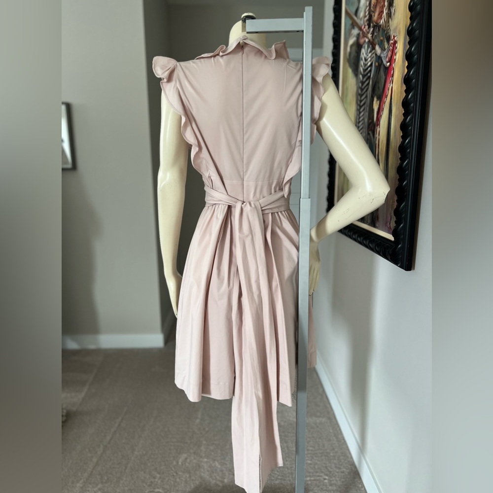 RED Valentino V-Neck Ruffled A-Line Dress - Picture 12 of 15